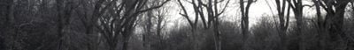 Panoramic View 1