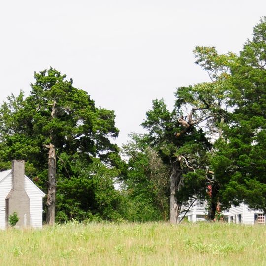 Dr. Walter Brice House and Office