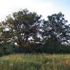 Cmentarz katolicki w Milczu