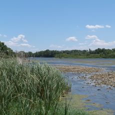 Reserva Natural de Los Galachos de La Alfranca de Pastriz, La Cartuja y El Burgo de Ebro