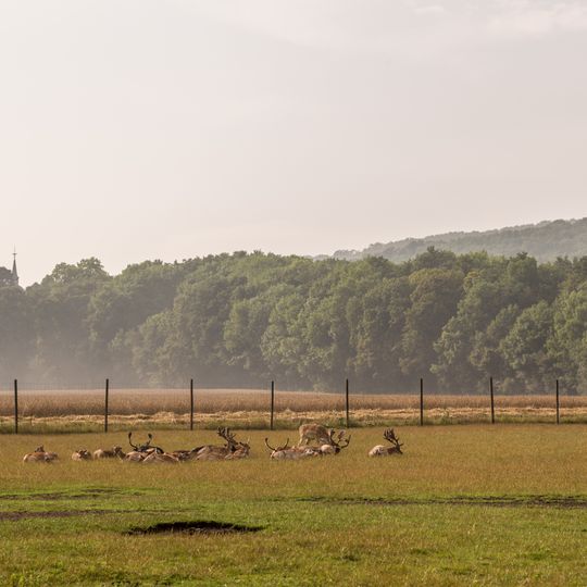 Damhirsch- und Mufflongehege