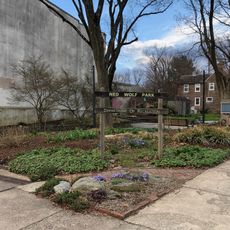 Ned Wolf Park