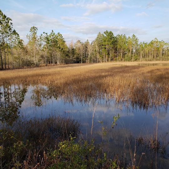 Yellow River Marsh