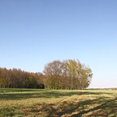 Feuchtgebiet Neubronn Sandgrube