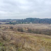 Ильинское (Рузан кӀошт)