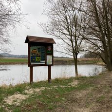 Rybníček u Dolního Dvora