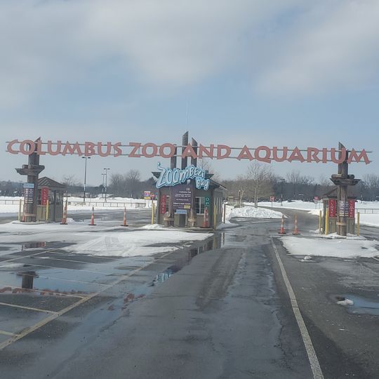 Jungle Jack's Landing