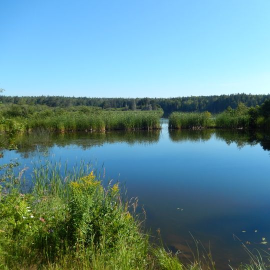 Réserve nationale de faune de Chignecto