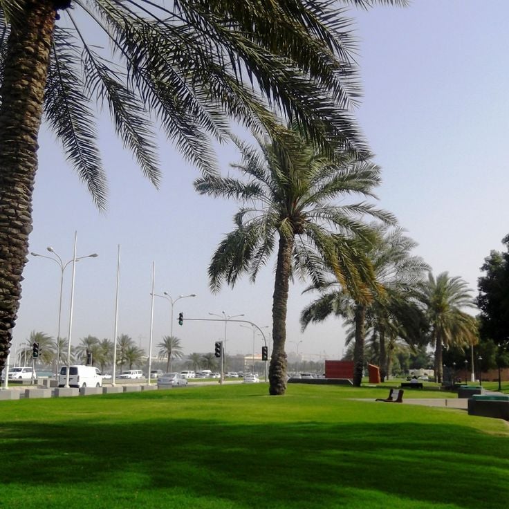 Park Al Bidda
