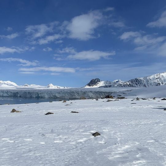 Lilliehöökfjorden