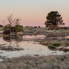 Southshore Spit Reserve