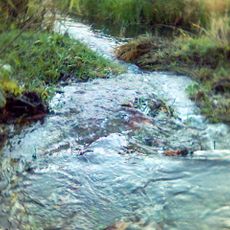 Palono botaninis draustinis