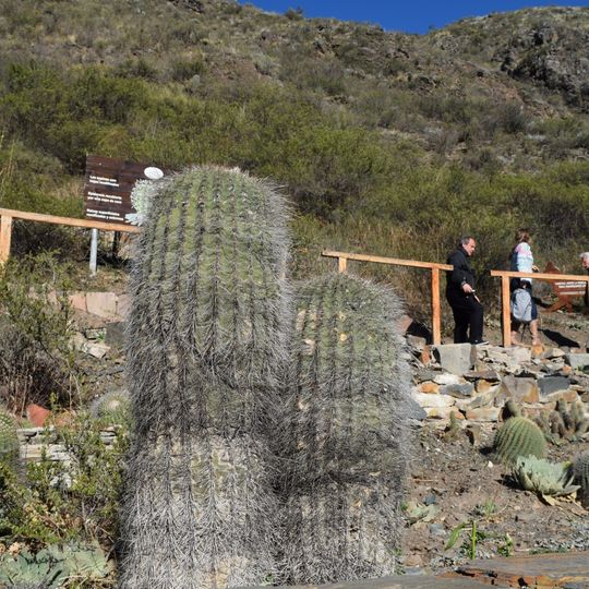 Villavicencio Natural Reserve