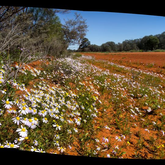 Gundabooka National Park