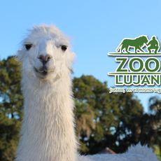 Zoológico de Luján