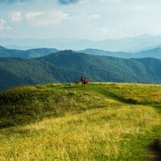 Max Patch