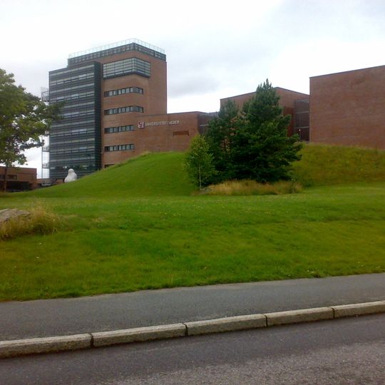 University of Agder