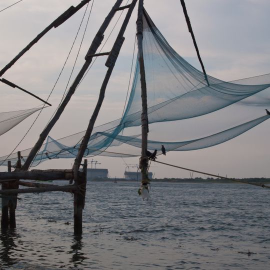 Chinese Fishing Nets