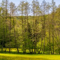 Kurzacher Tal, Bottwartal