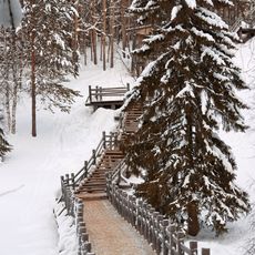 Лестница-спуск (Малые Корелы)