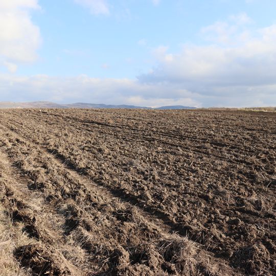 Crkvište, Nemanjici