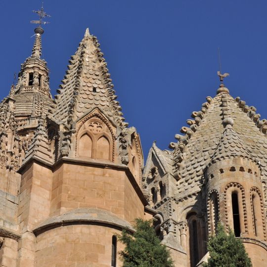 Cattedrale vecchia di Salamanca