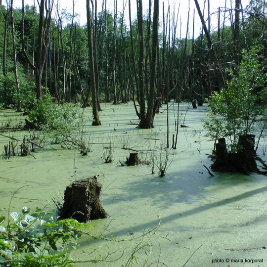 Fließwiese Ruhleben