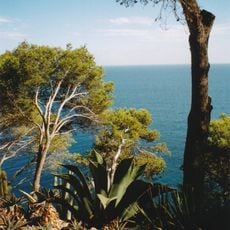 Jardí Botànic de Caixa de Girona