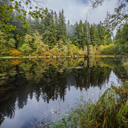 Devil's Staircase Wilderness