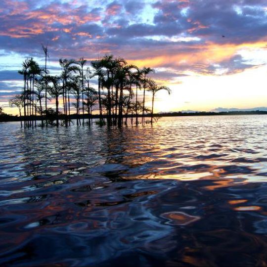 Cuyabeno Wildlife Reserve