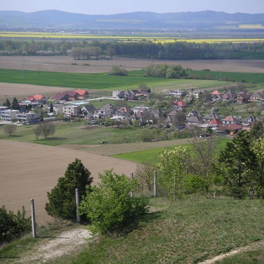 Dolnovážska niva