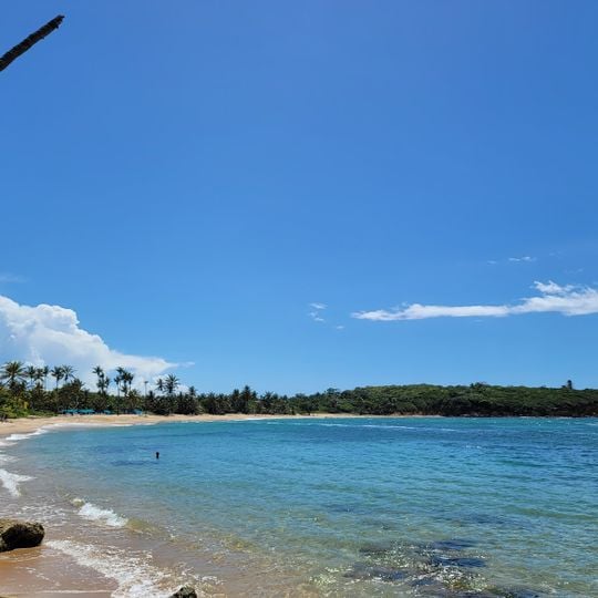 Playa de los Tocones