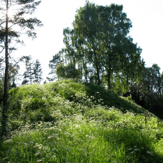 Alt-Laari linnamägi