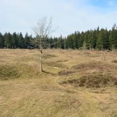 Mima Mounds