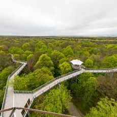 Hainich National Park