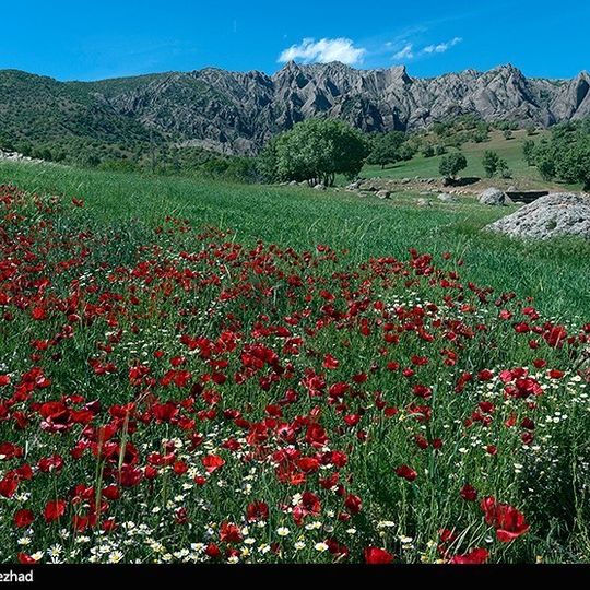 Shahrestān di Dalfan