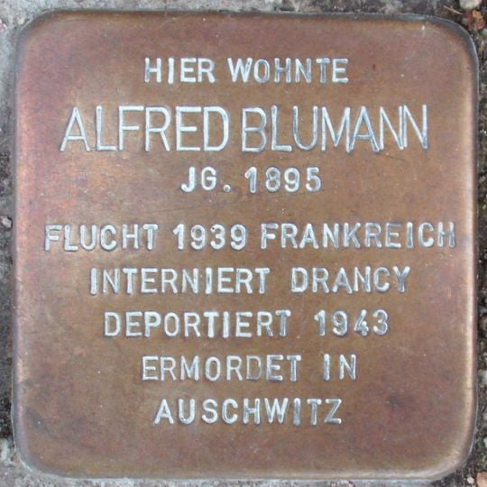 Stolperstein dedicated to Alfred Blumann