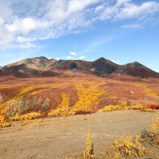 Tombstone Park Viewpoint