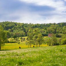 Ostabfall der Waldenburger Berge mit Streiflesberg, Streifleswald und angrenzenden Gebietsteilen