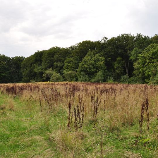 Manor park in Elbląg, 31 Witkiewicza Street