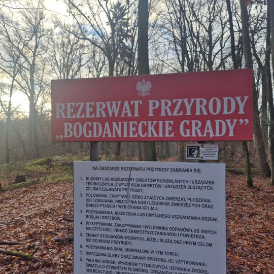Rezerwat przyrody Bogdaniec I
