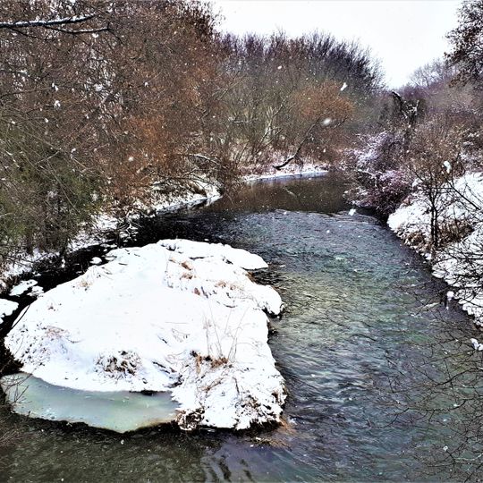 Mabel Davis Conservation Area