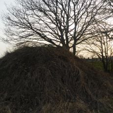 Cmentarz wojenny w Stefankowicach-Kolonii