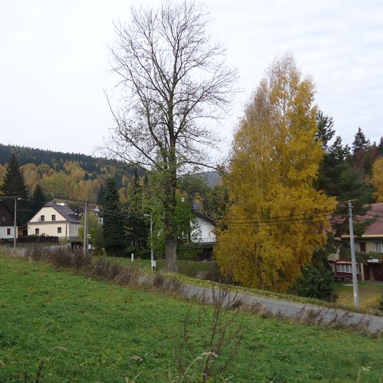 Karlov pod Pradědem