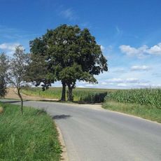 Kříž severně od Deštné