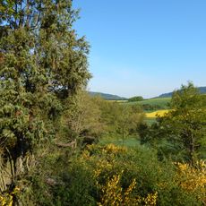 Wacholderheide bei Rohrbach