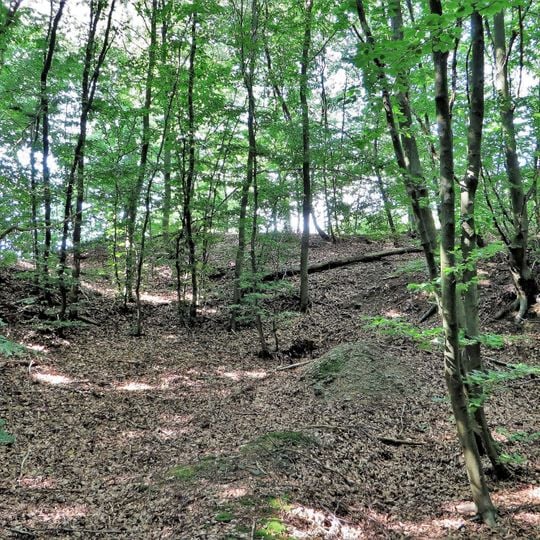 Wallburg Sieben Gräben