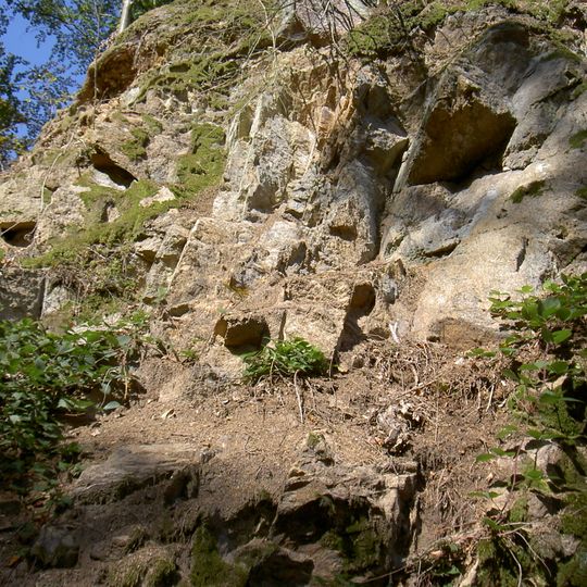 Feld- und Waldgebiet Almesbach - Im Ibelnest - Eichrangen - Fischerberg - Buchrangen-Ebene - Hint. Neuried - Hl. Staude - Sauhübel