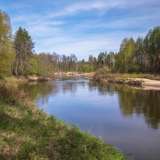 Medvedevsky District