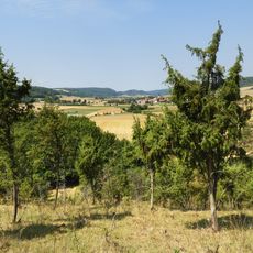 Wald südöstlich von Netra